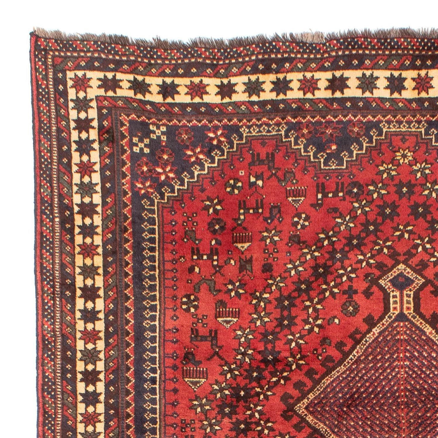 Shiraz Tæppe 290x205cm - Persisk tæppe