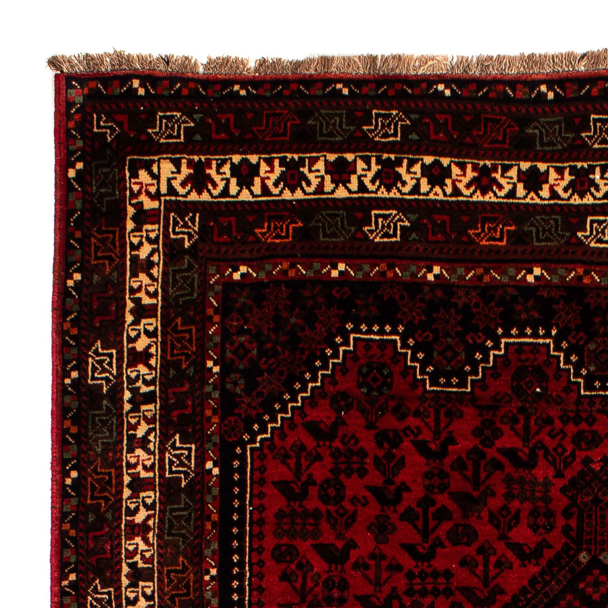 Shiraz Tæppe 200x295cm - Persisk tæppe