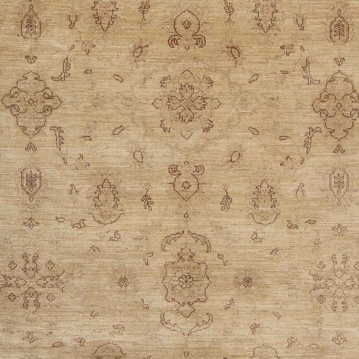 Ziegler Carpet - 293 x 249 cm - lys brun