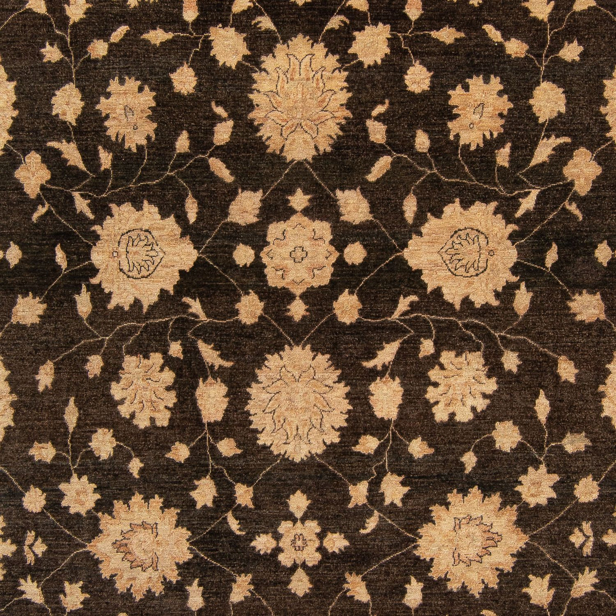 Ziegler Carpet - 349 x 248 cm - mørkeblå