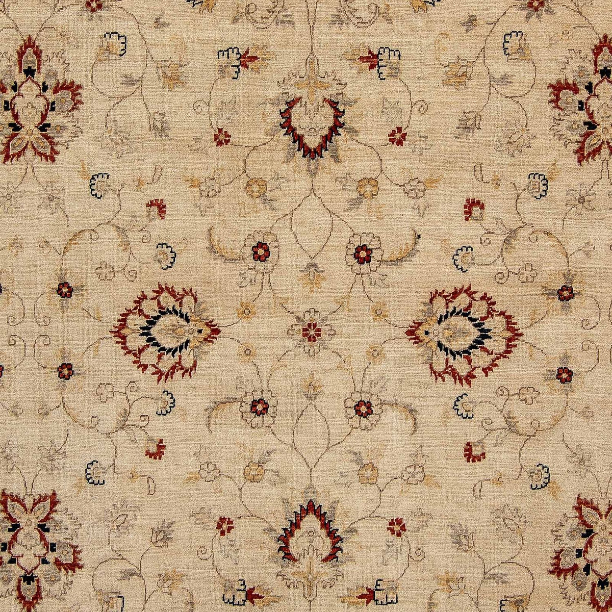Ziegler Carpet - 301 x 249 cm - beige
