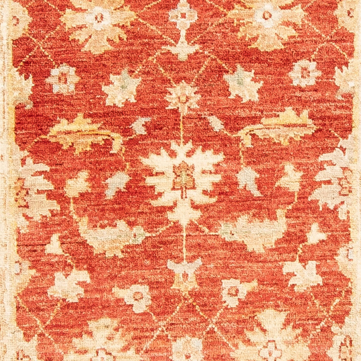 Løber Ziegler Carpet - 263 x 73 cm - rust