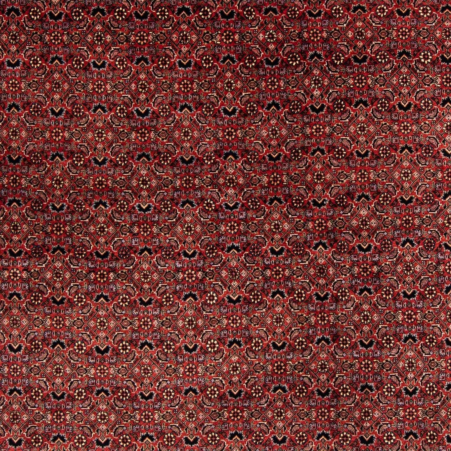 Persisk tæppe - Bijar firkantet  - 200 x 197 cm - mørkerød
