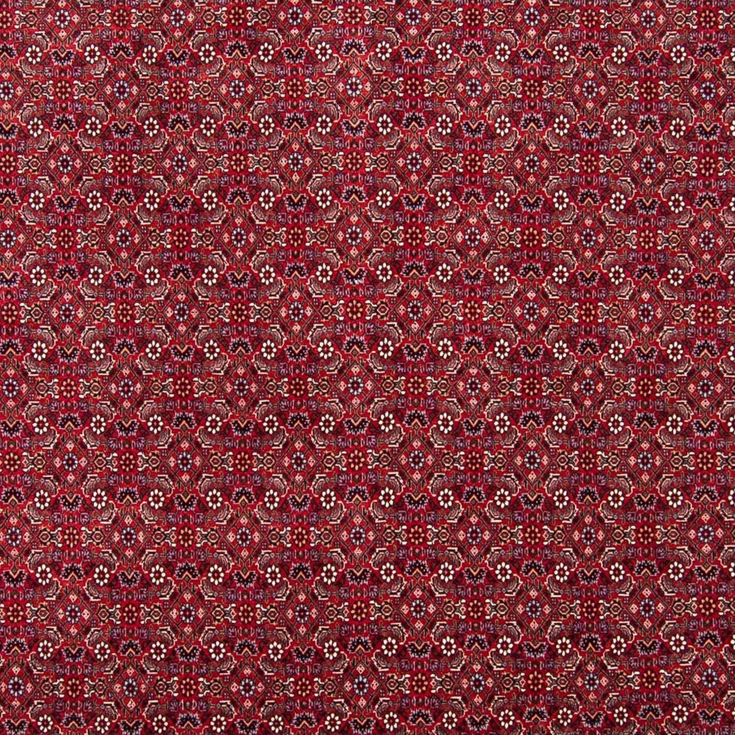 Persisk tæppe - Bijar - 297 x 247 cm - rød