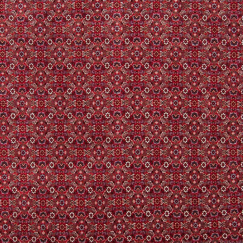 Persisk tæppe - Bijar - 297 x 247 cm - rød