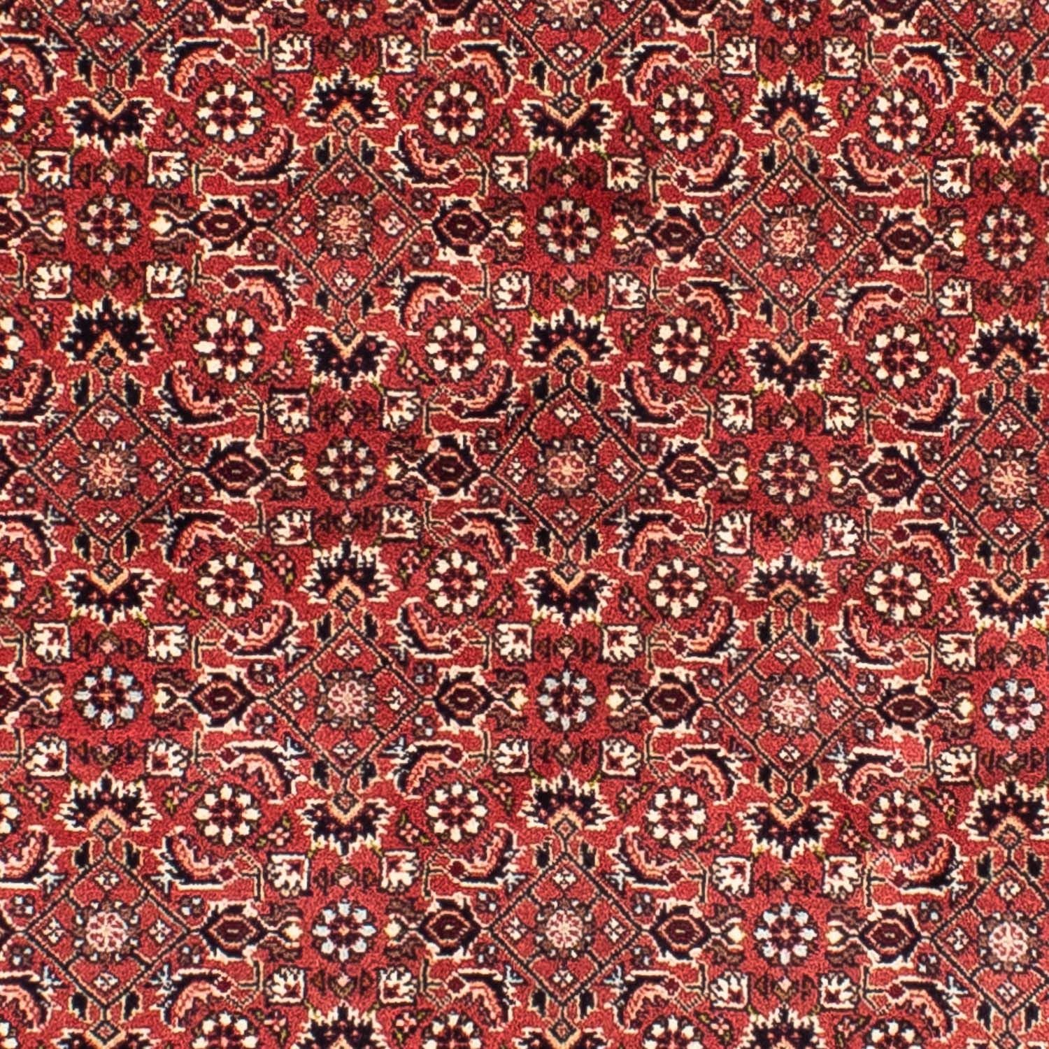 Persisk tæppe - Bijar firkantet  - 208 x 200 cm - lysrød