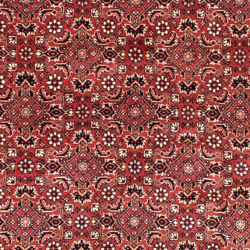 Persisk tæppe - Bijar firkantet  - 208 x 200 cm - lysrød