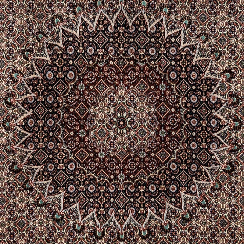 Persisk tæppe - Classic - 345 x 253 cm - beige