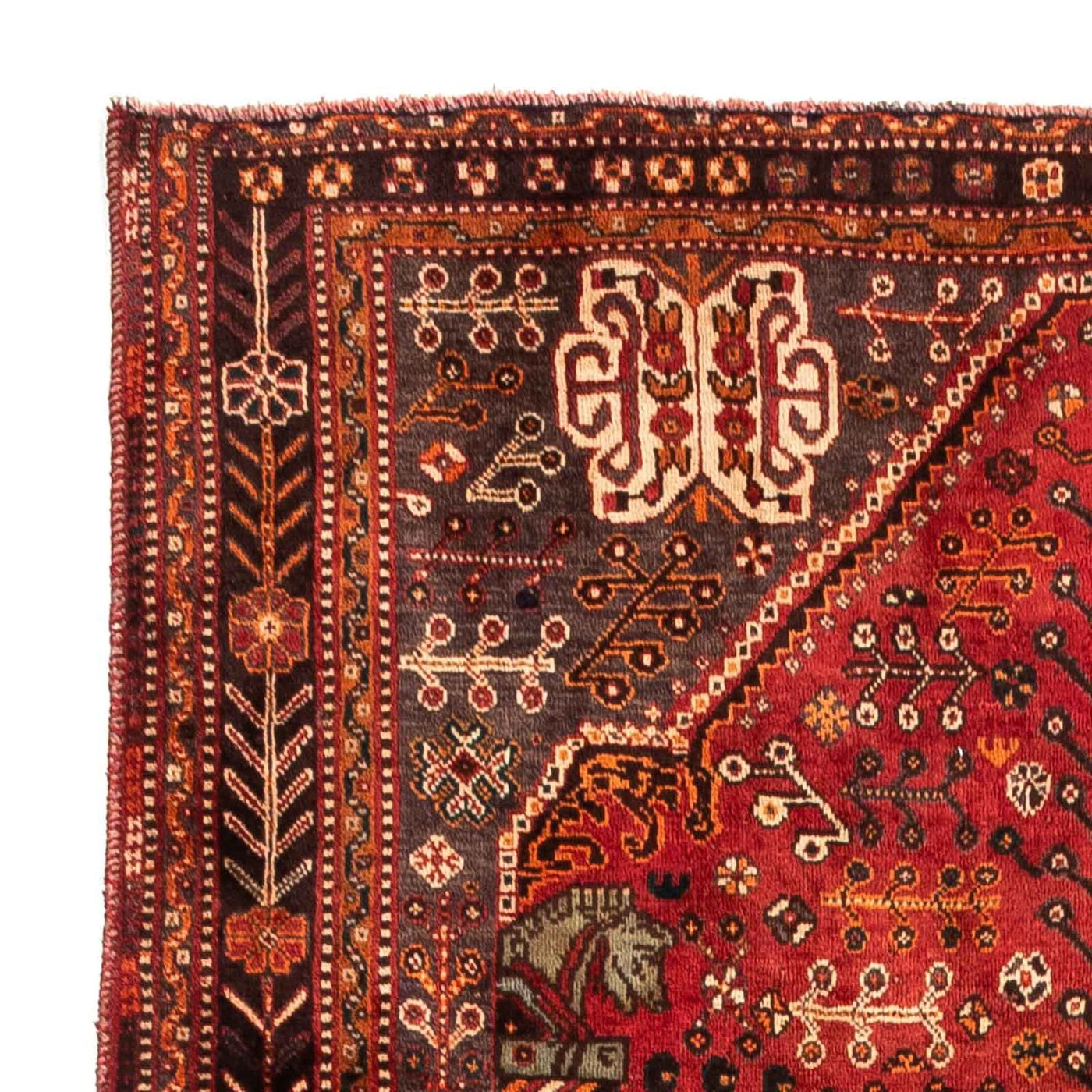 Shiraz Tæppe 253x160cm - Persisk tæppe