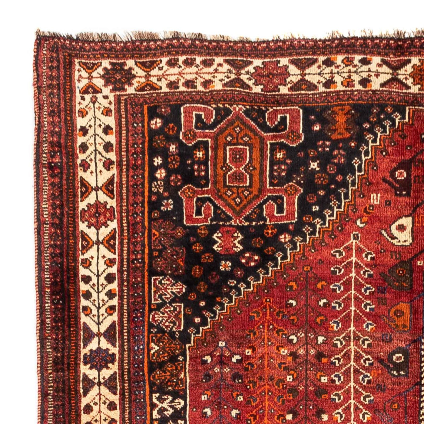 Shiraz Tæppe 258x163cm - Persisk tæppe