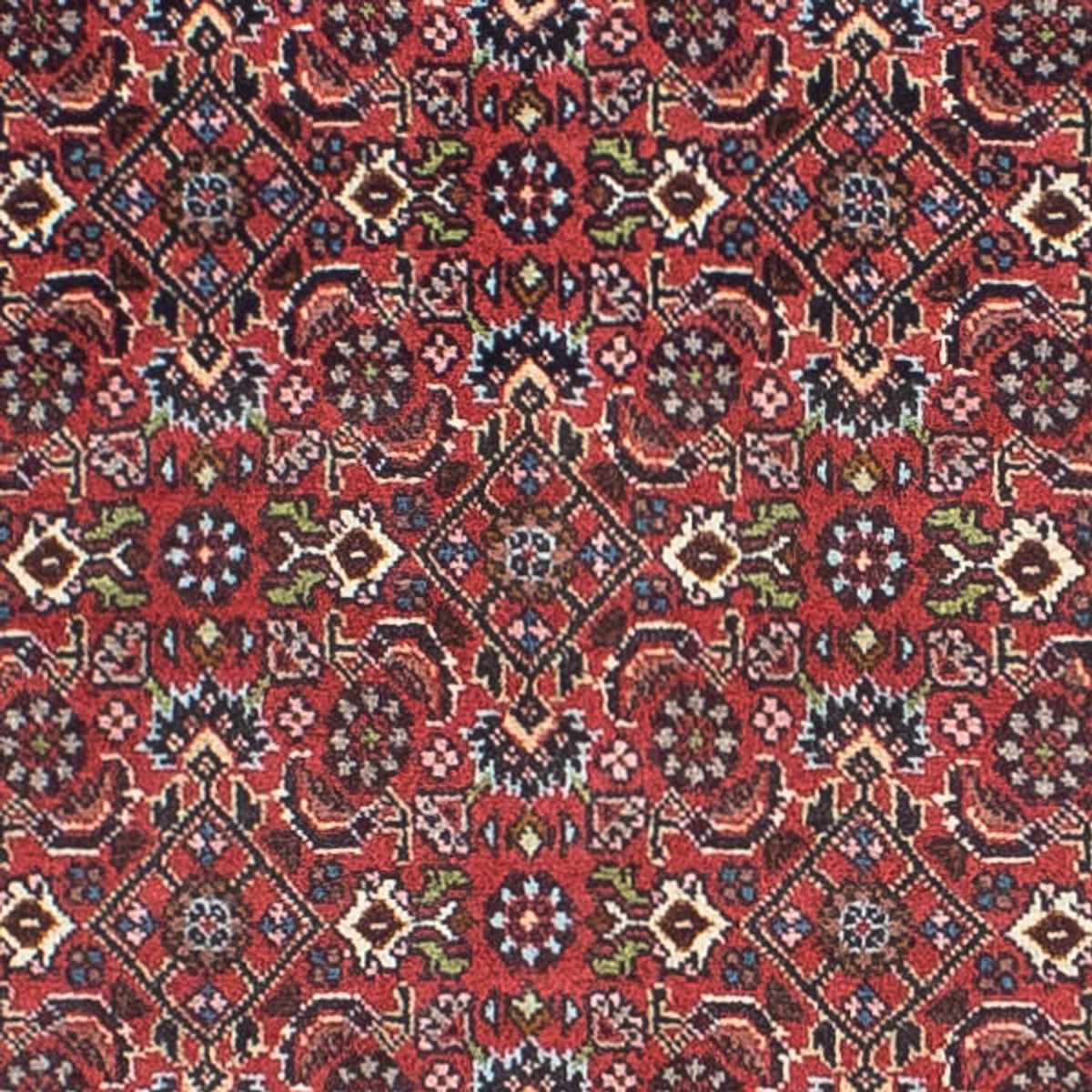 Løber Persisk tæppe - Bijar - 243 x 68 cm - lysrød