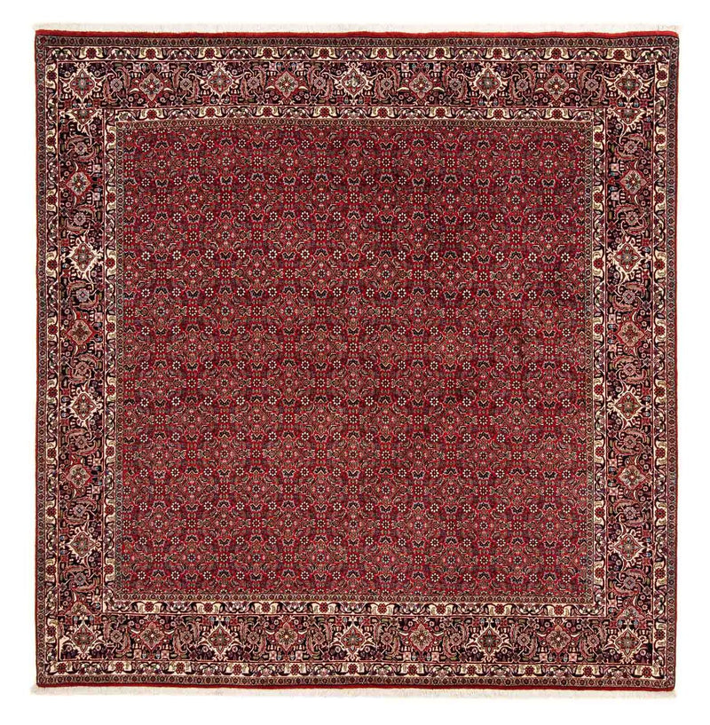 Persisk tæppe - Bijar firkantet  - 205 x 205 cm - mørkerød