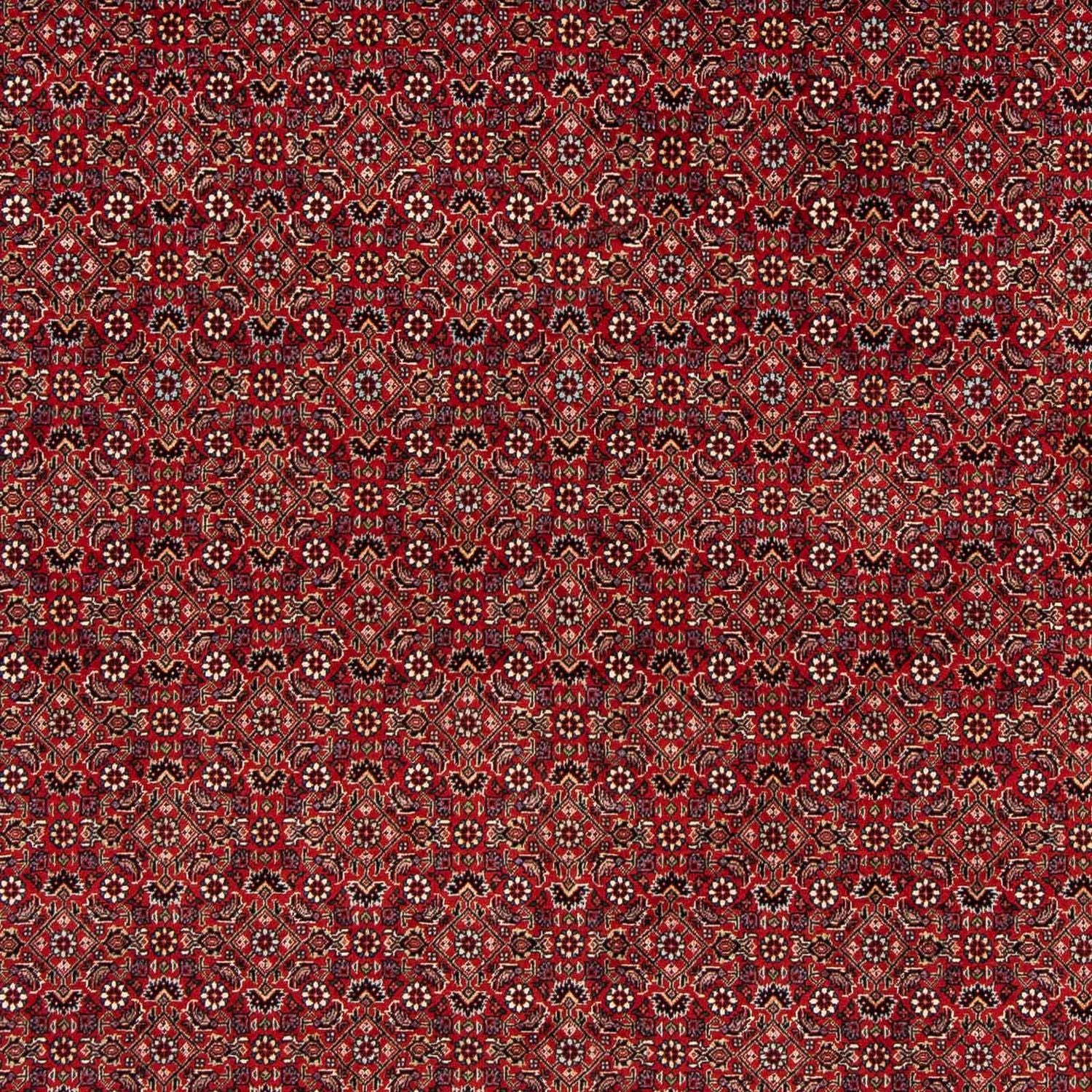 Persisk tæppe - Bijar firkantet  - 205 x 205 cm - mørkerød