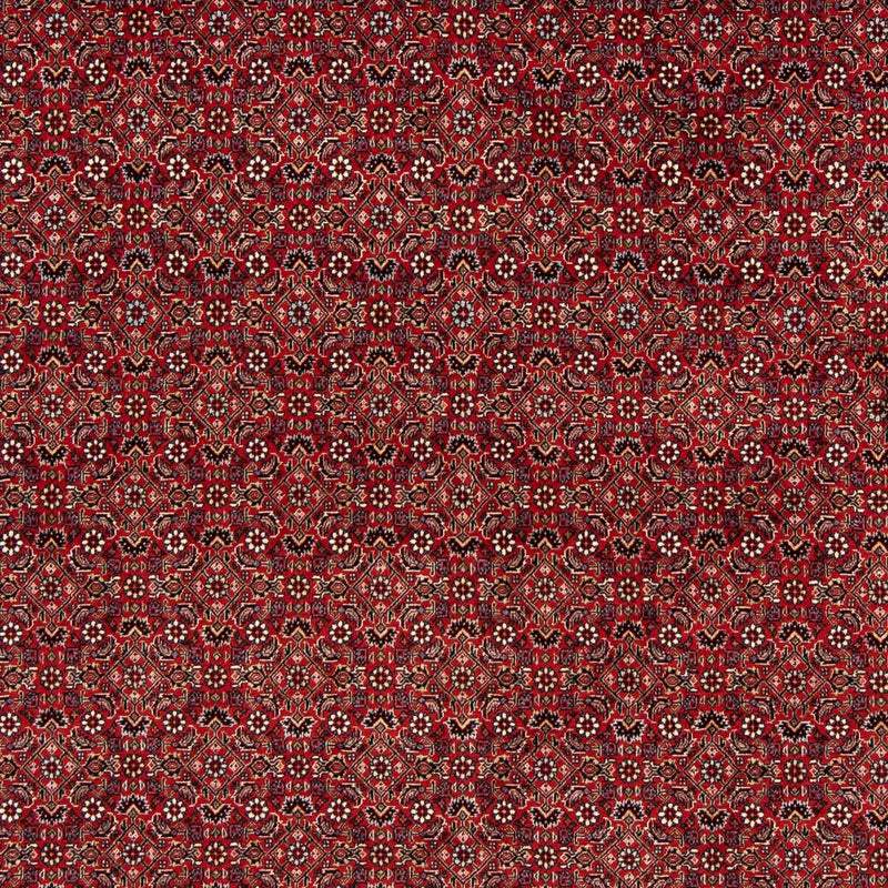 Persisk tæppe - Bijar firkantet  - 205 x 205 cm - mørkerød