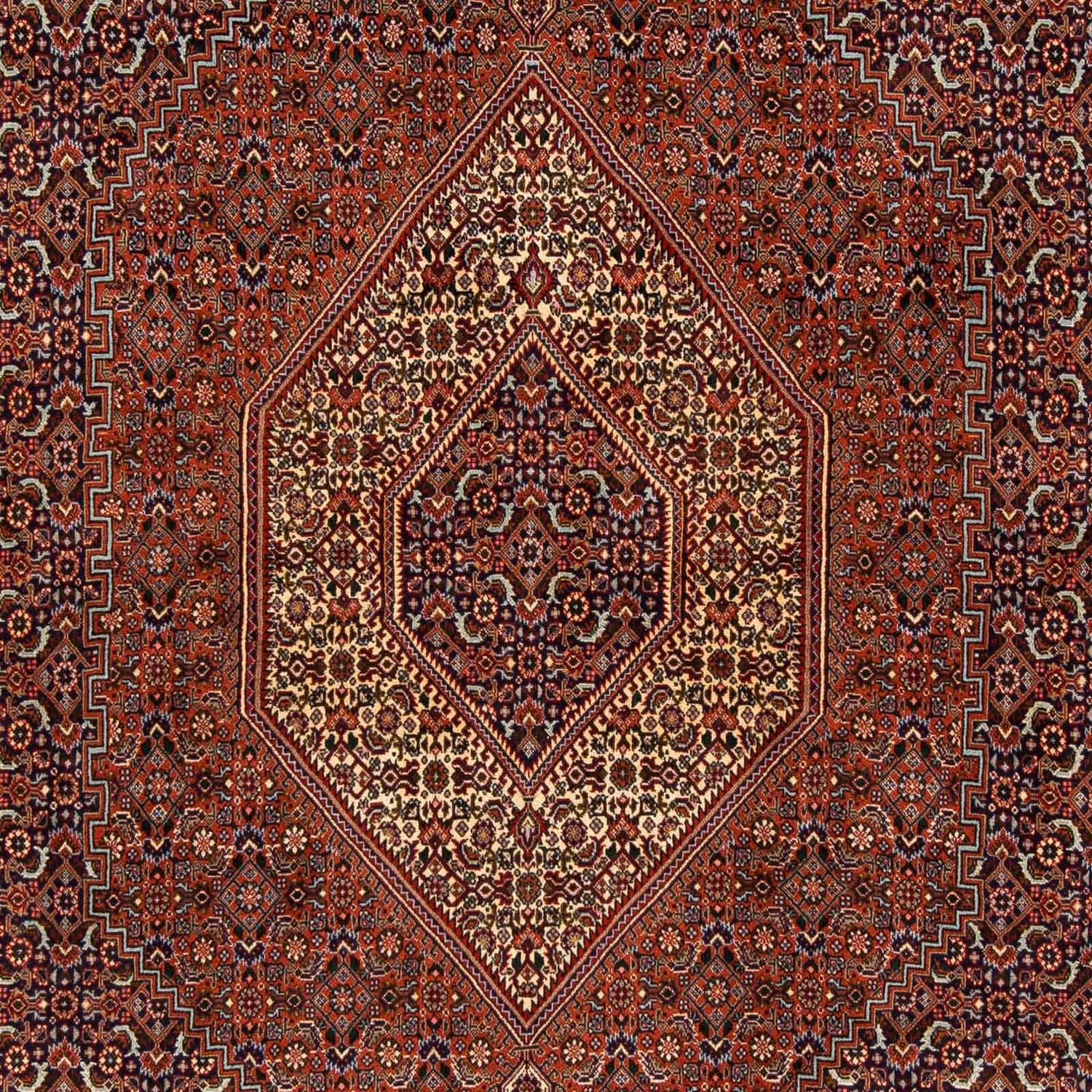 Persisk tæppe - Bijar - 222 x 203 cm - brun