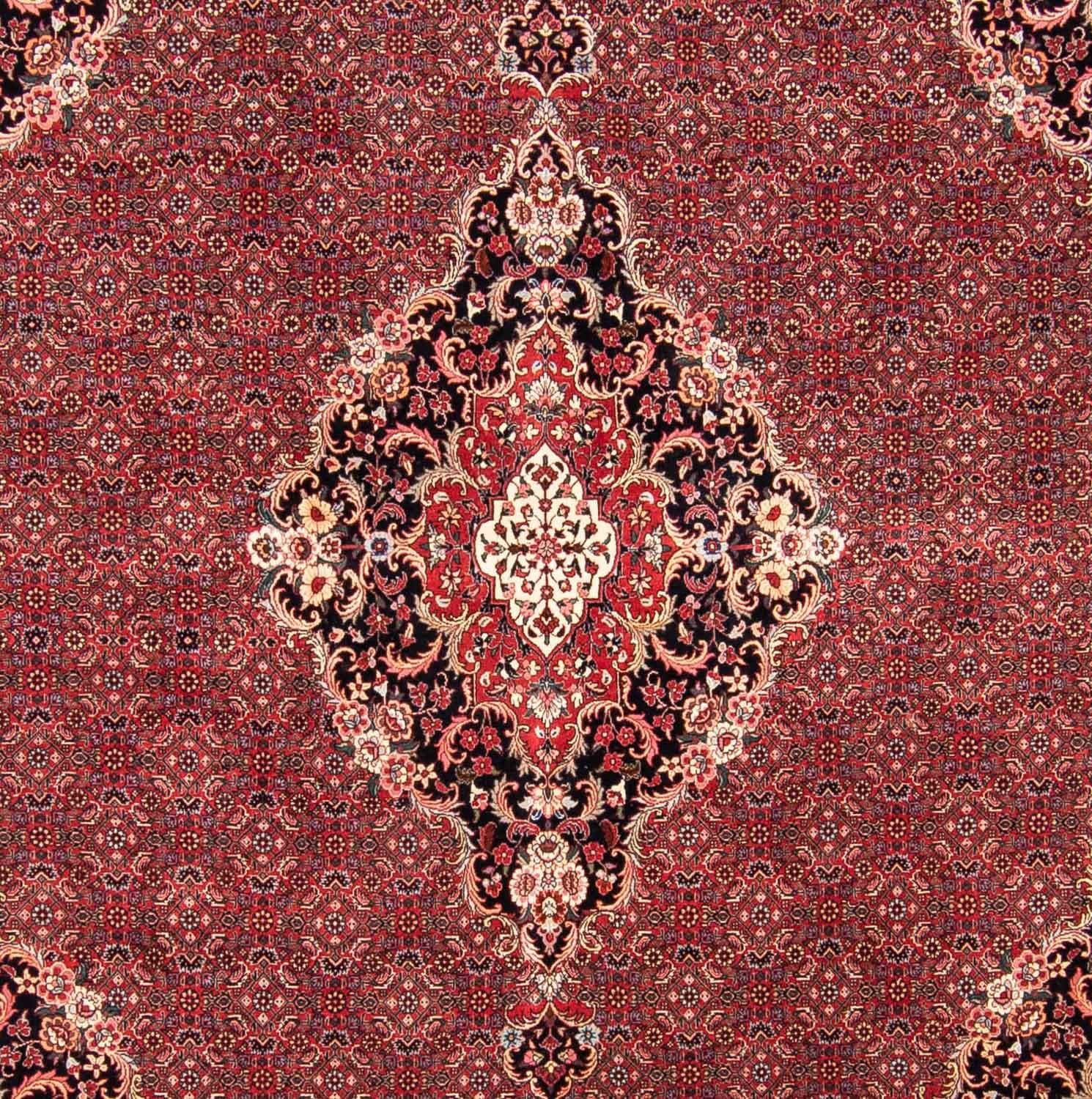 Persisk tæppe - Bijar firkantet  - 253 x 253 cm - mørkerød