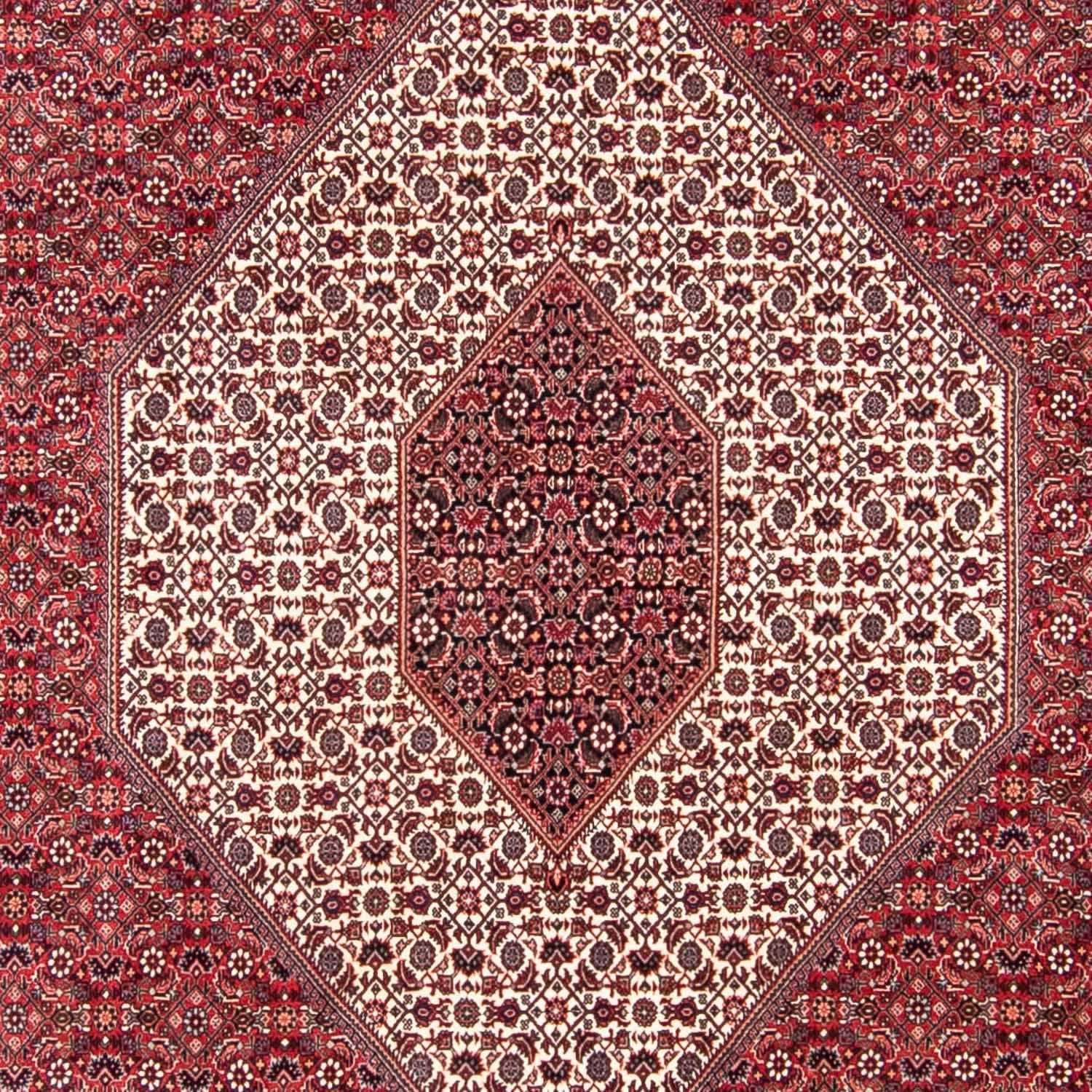 Persisk tæppe - Bijar - 314 x 253 cm - mørkerød