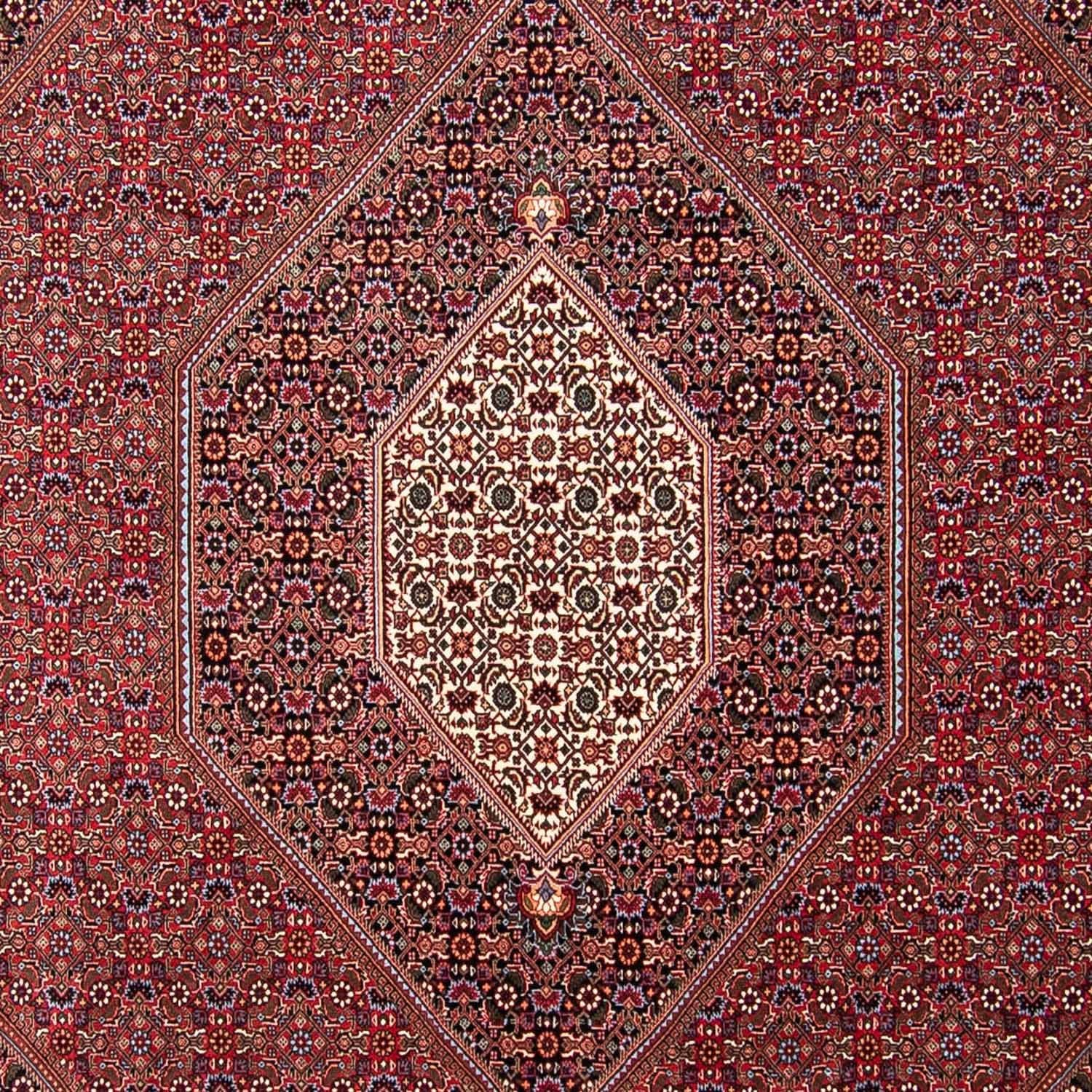 Persisk tæppe - Bijar - 298 x 258 cm - rød