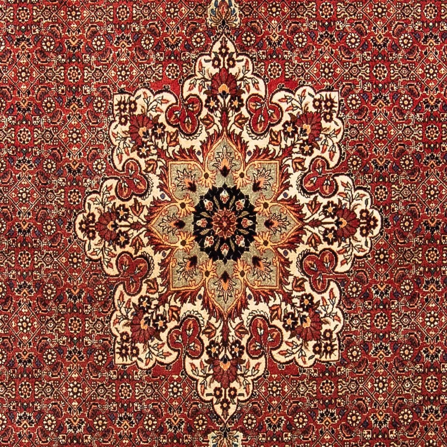 Persisk tæppe - Bijar - 232 x 170 cm - mørkerød