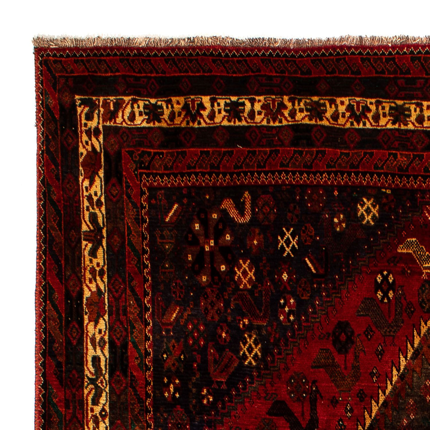 Shiraz Tæppe 312x208cm - Persisk tæppe