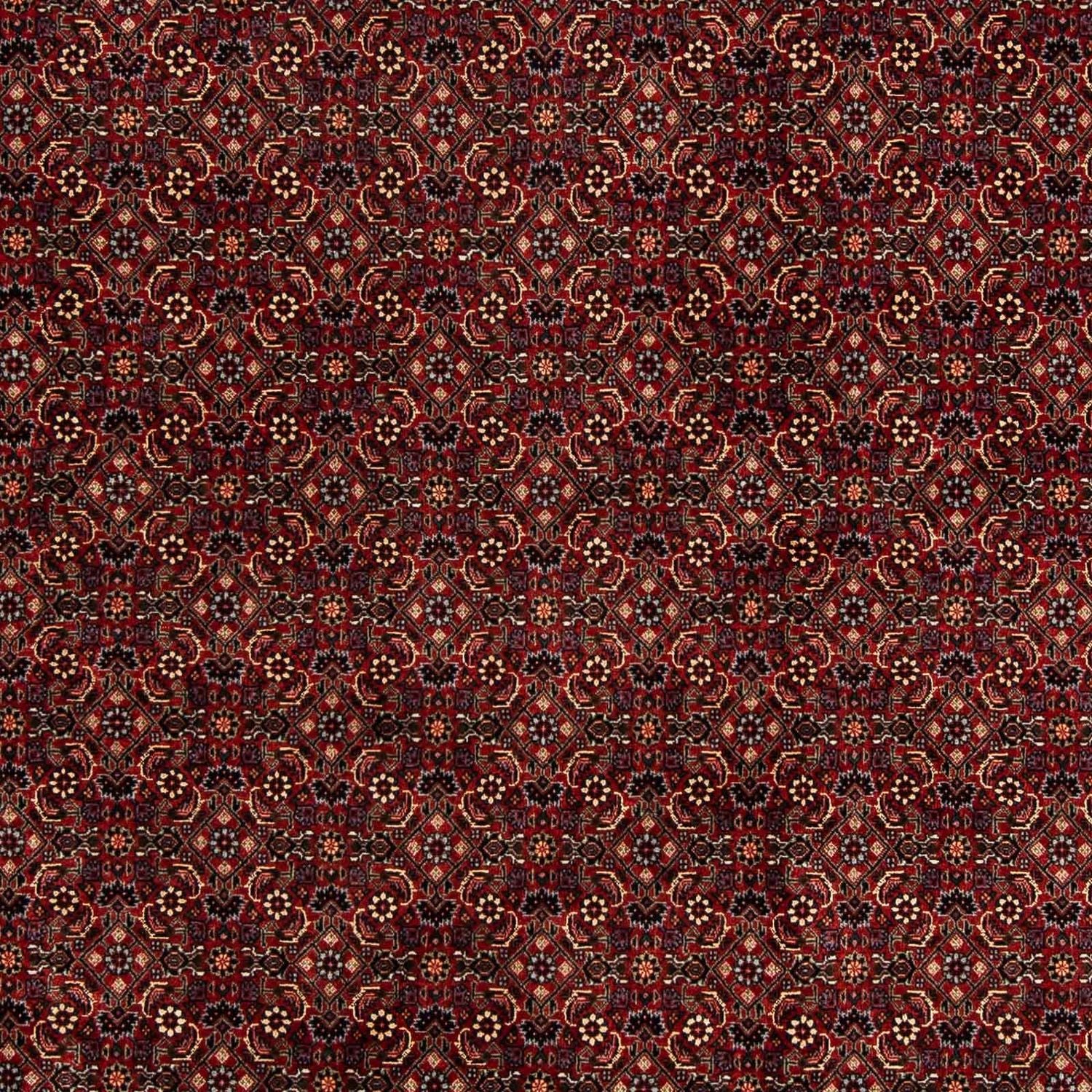 Persisk tæppe - Bijar - 254 x 198 cm - mørkerød
