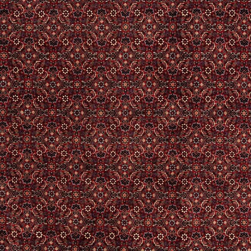 Persisk tæppe - Bijar - 254 x 198 cm - mørkerød