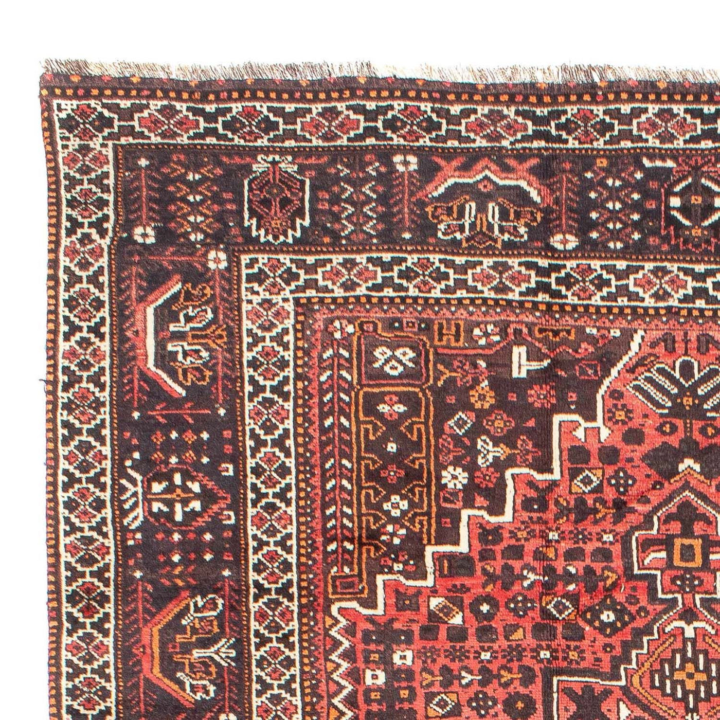 Shiraz Tæppe 310x213cm - Persisk tæppe