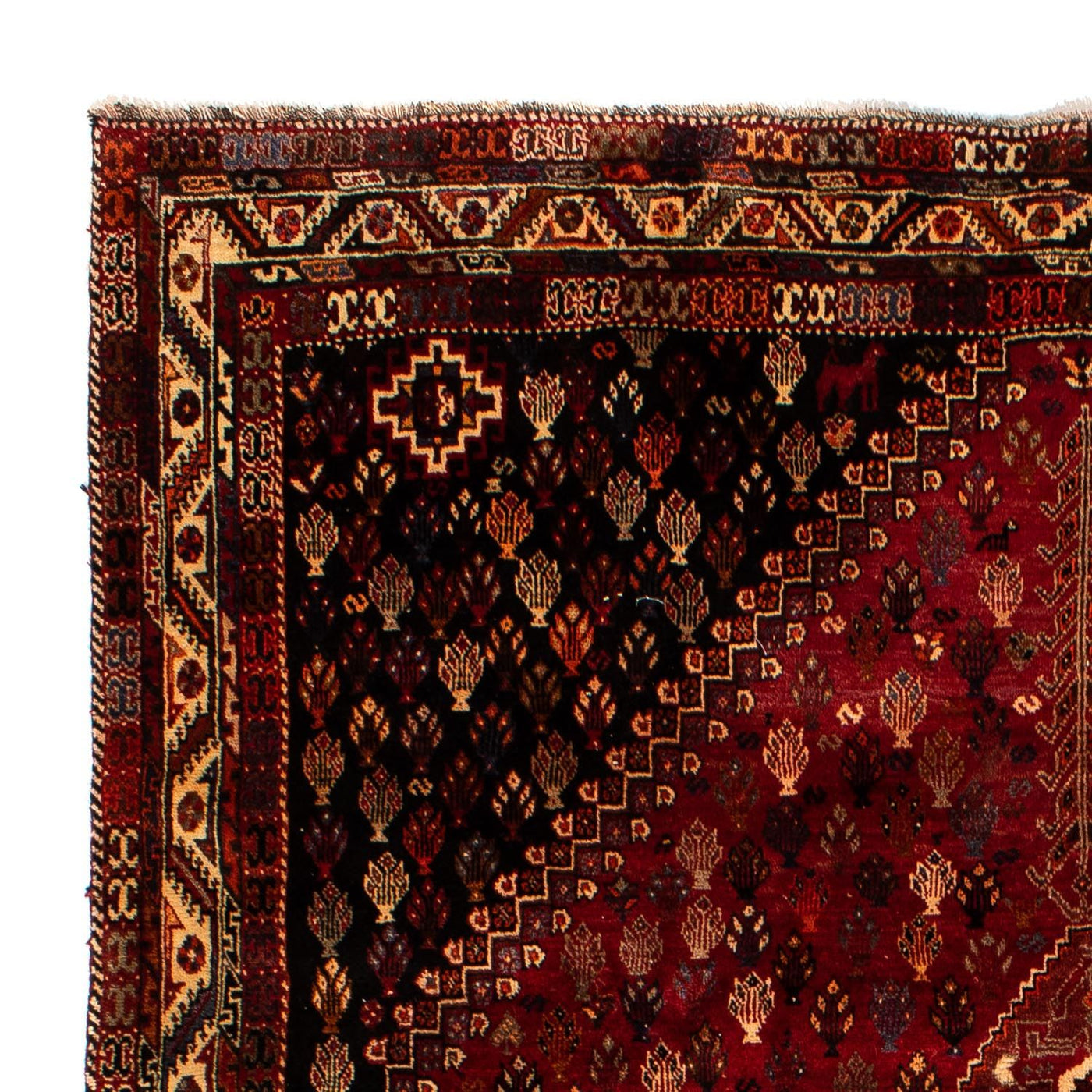 Shiraz Tæppe 315x216cm - Persisk tæppe