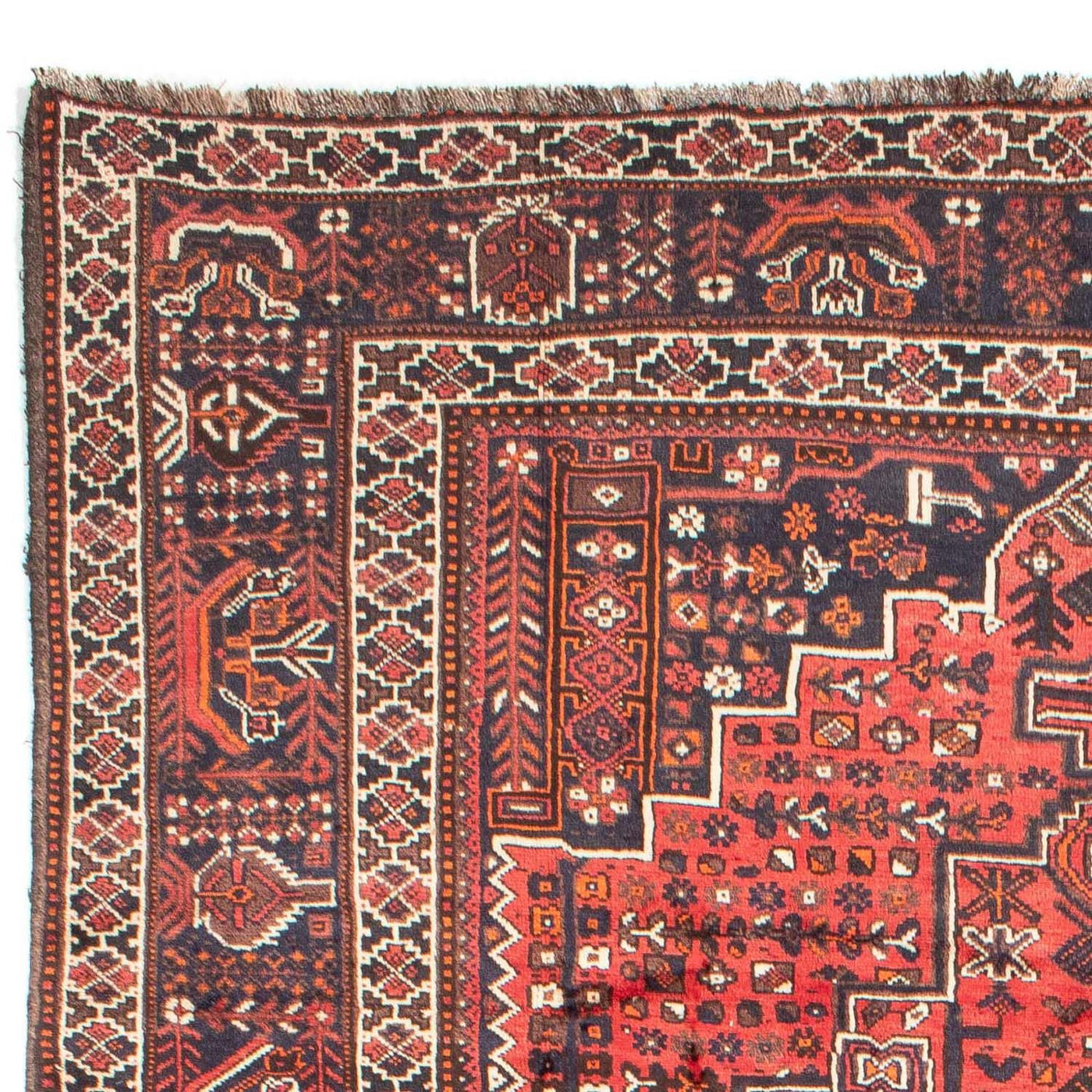 Shiraz Tæppe 295x218cm - Persisk tæppe
