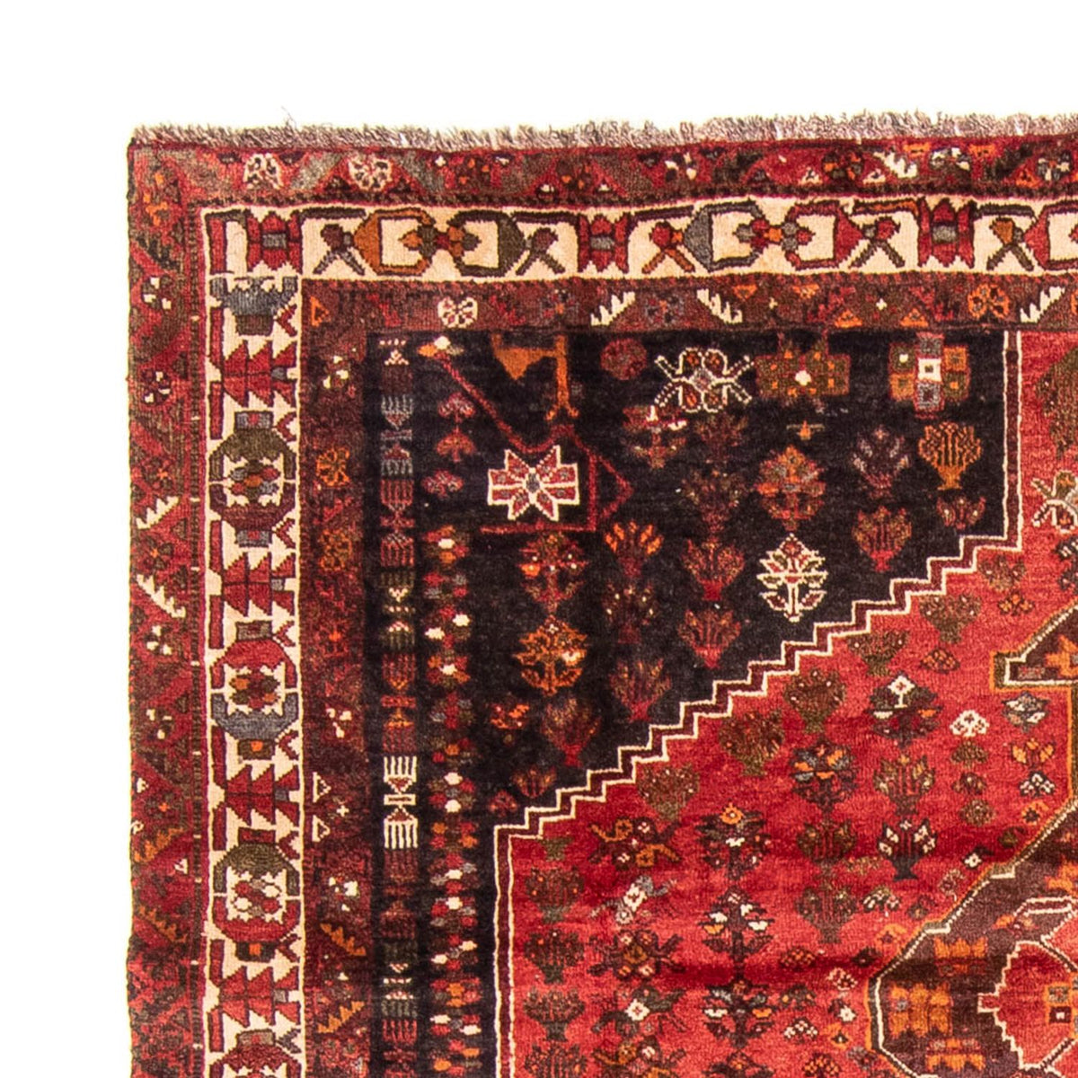 Shiraz Tæppe 225x310cm - Persisk tæppe