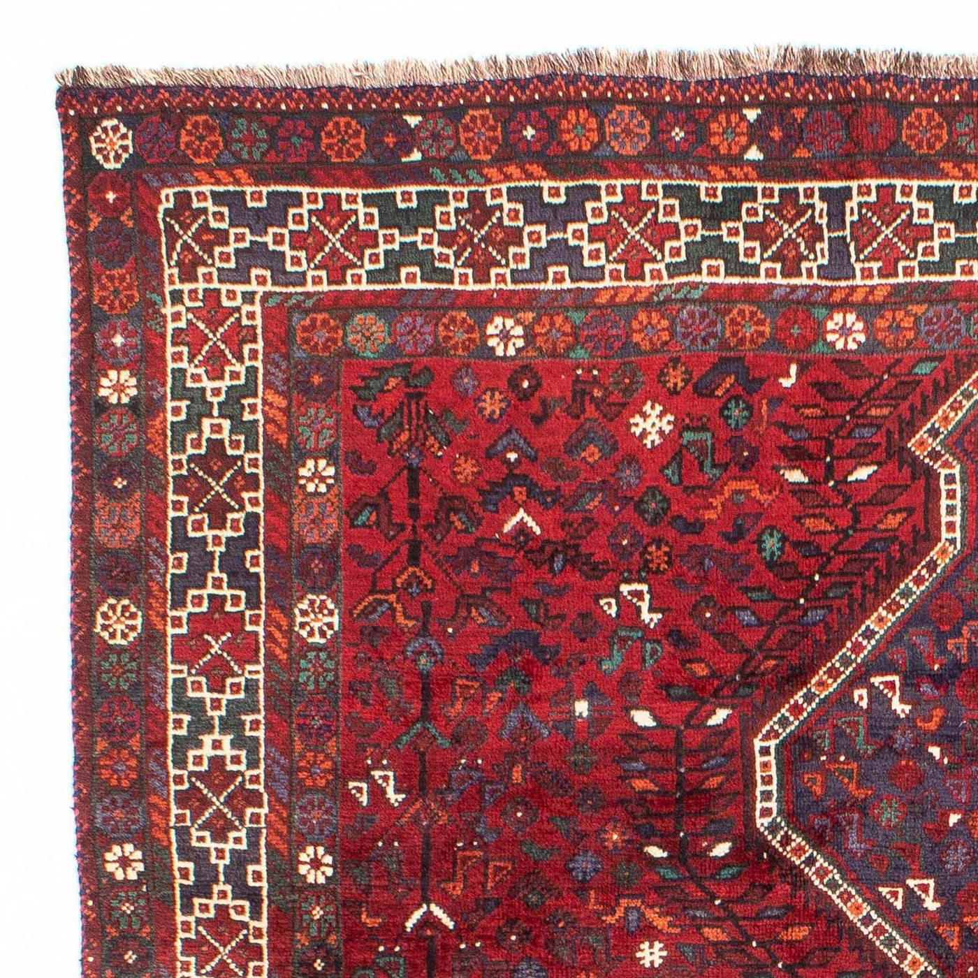 Shiraz Tæppe 300x208cm - Persisk tæppe