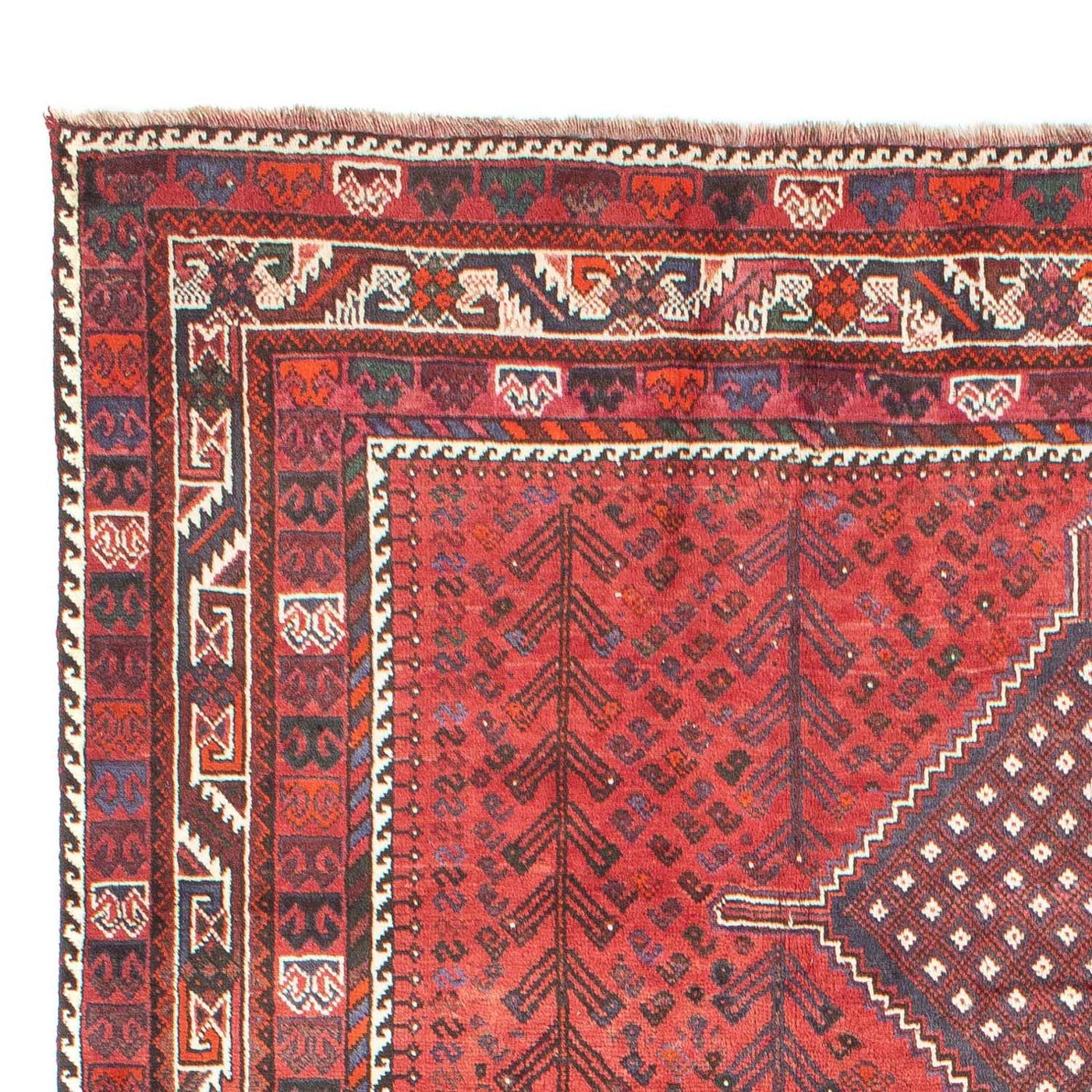 Shiraz Tæppe 310x215cm - Persisk tæppe