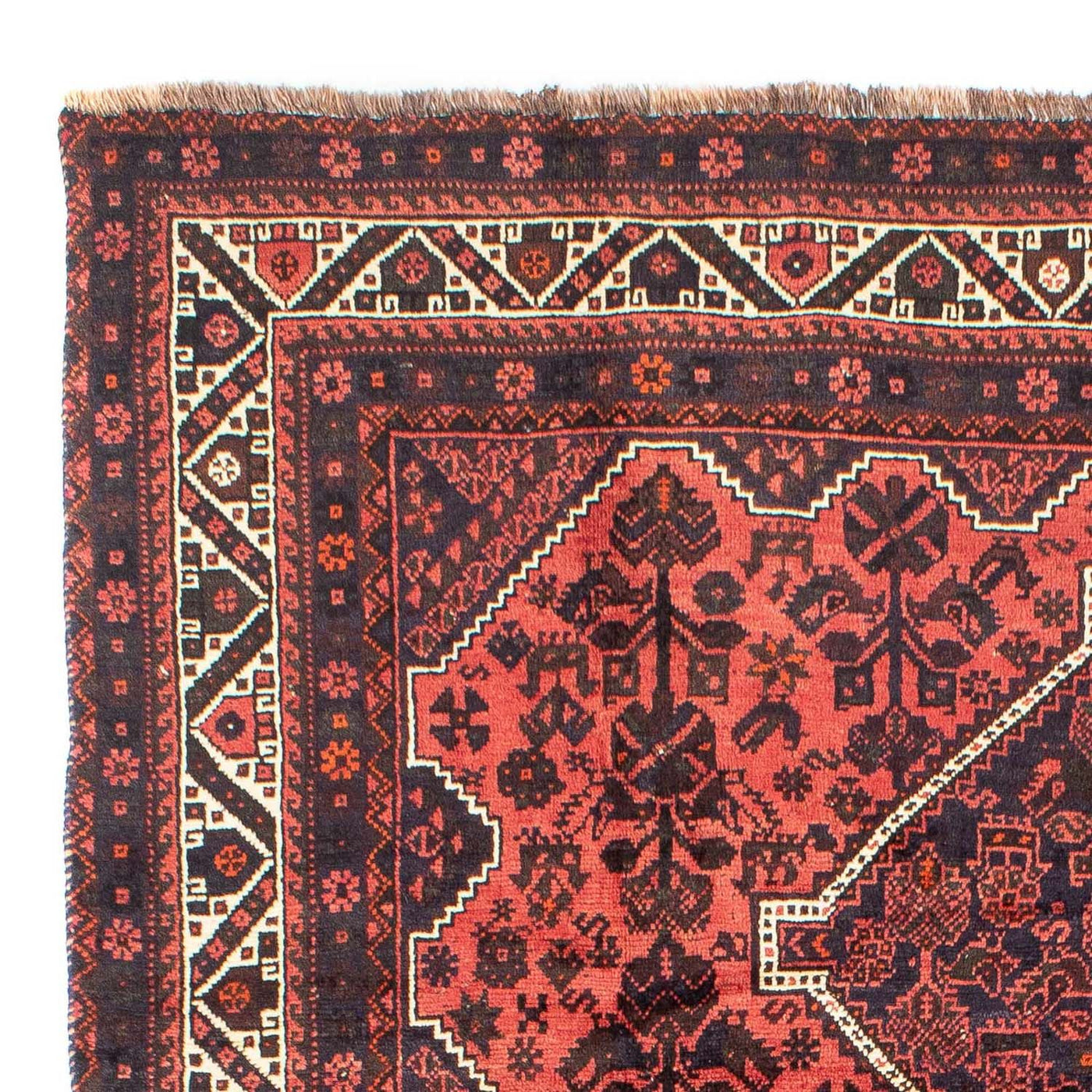 Shiraz Tæppe 300x207cm - Persisk tæppe