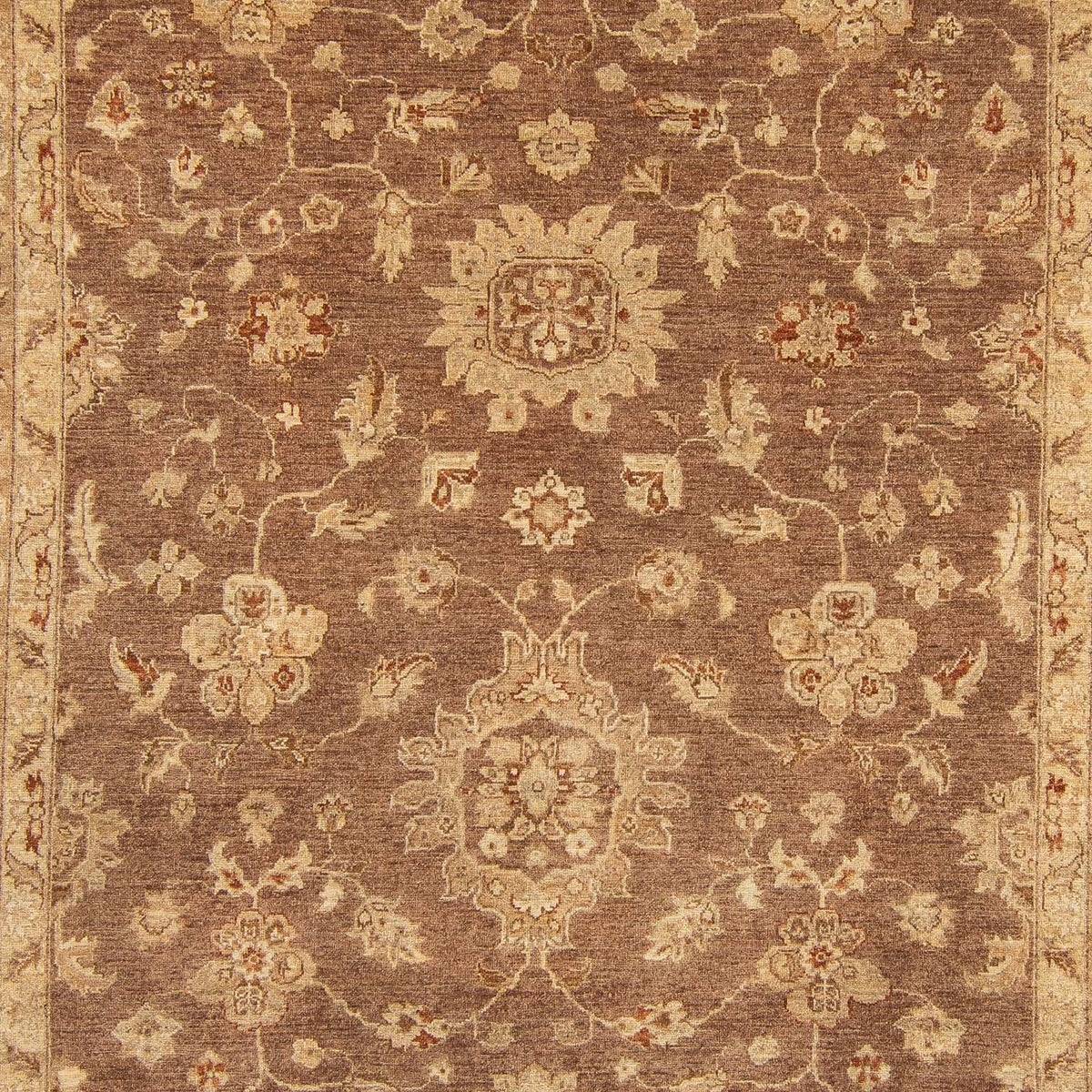 Ziegler Carpet - 369 x 270 cm - mørkebrun