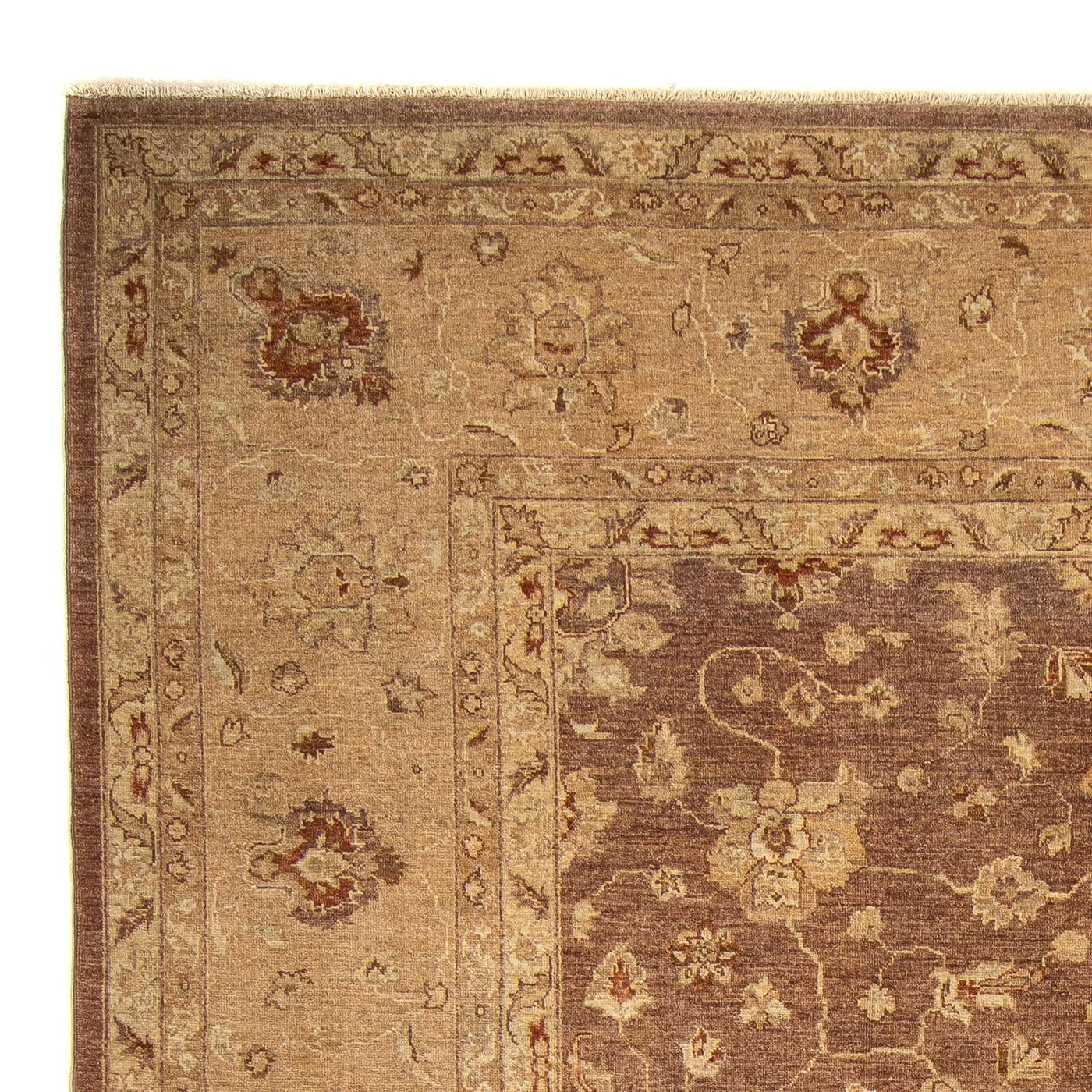 Ziegler Carpet 369x270cm - Orientalsk tæppe