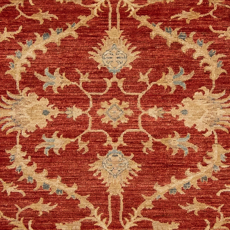 Ziegler Carpet - 285 x 203 cm - mørkerød