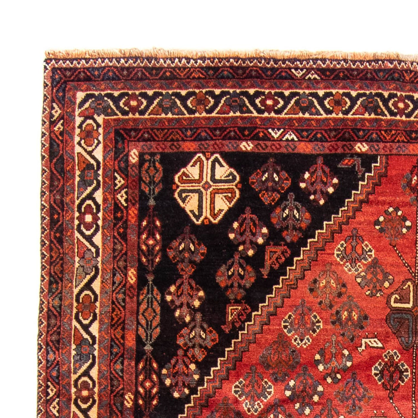 Shiraz Tæppe 323x235cm - Persisk tæppe