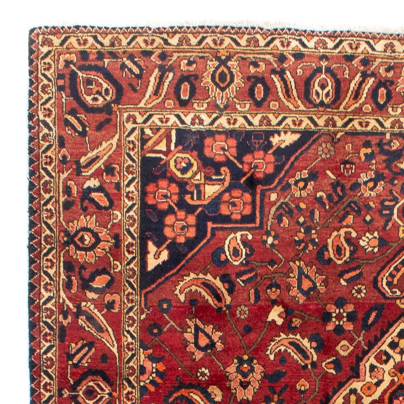 Bakhtiari Tæppe 318x211cm - Persisk tæppe