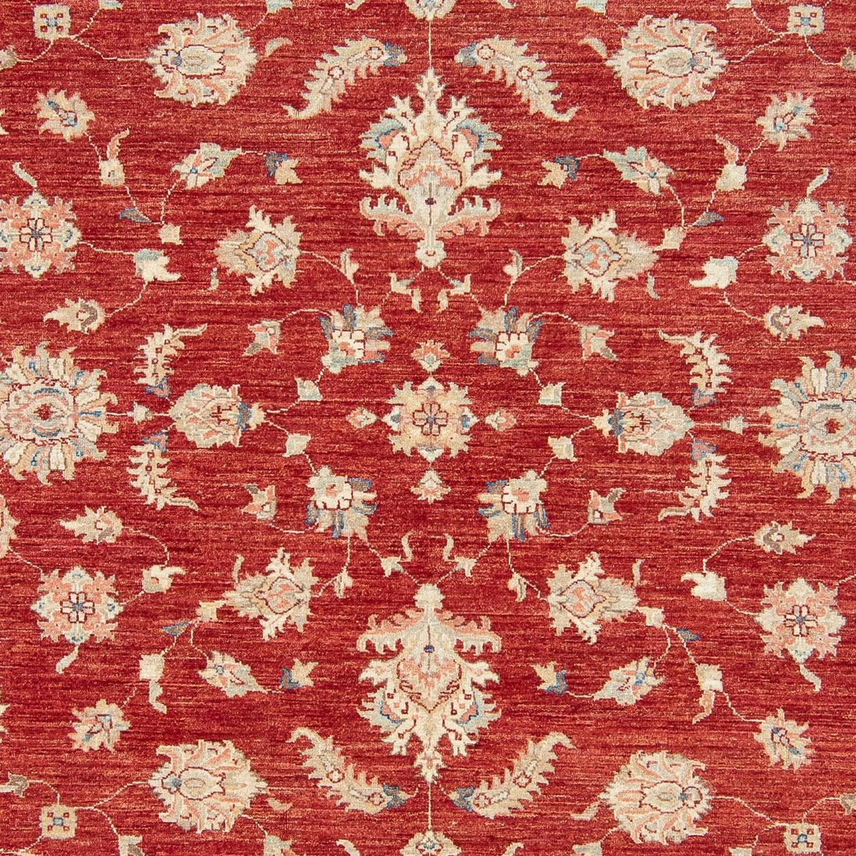 Ziegler Carpet - 295 x 250 cm - mørkerød