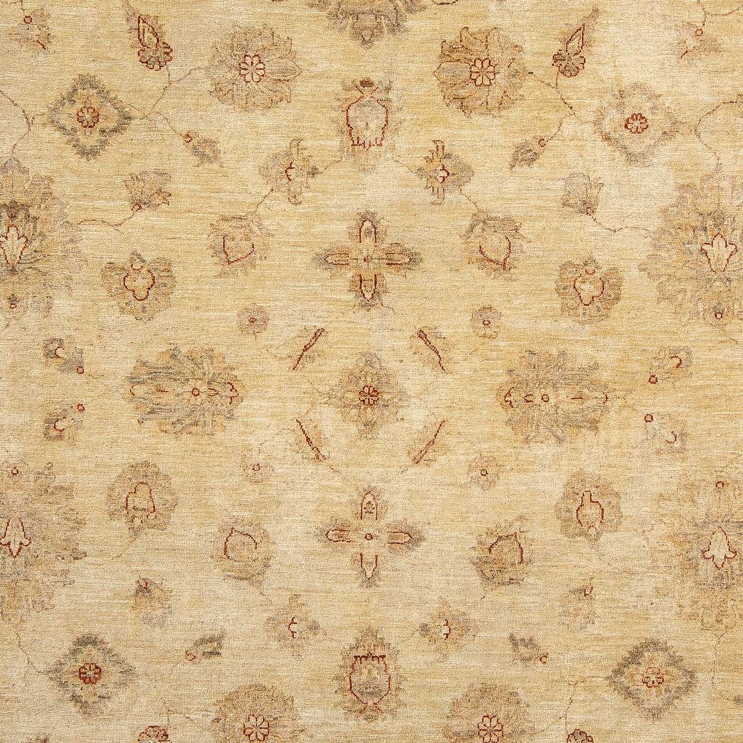 Ziegler Carpet - 303 x 246 cm - lys brun