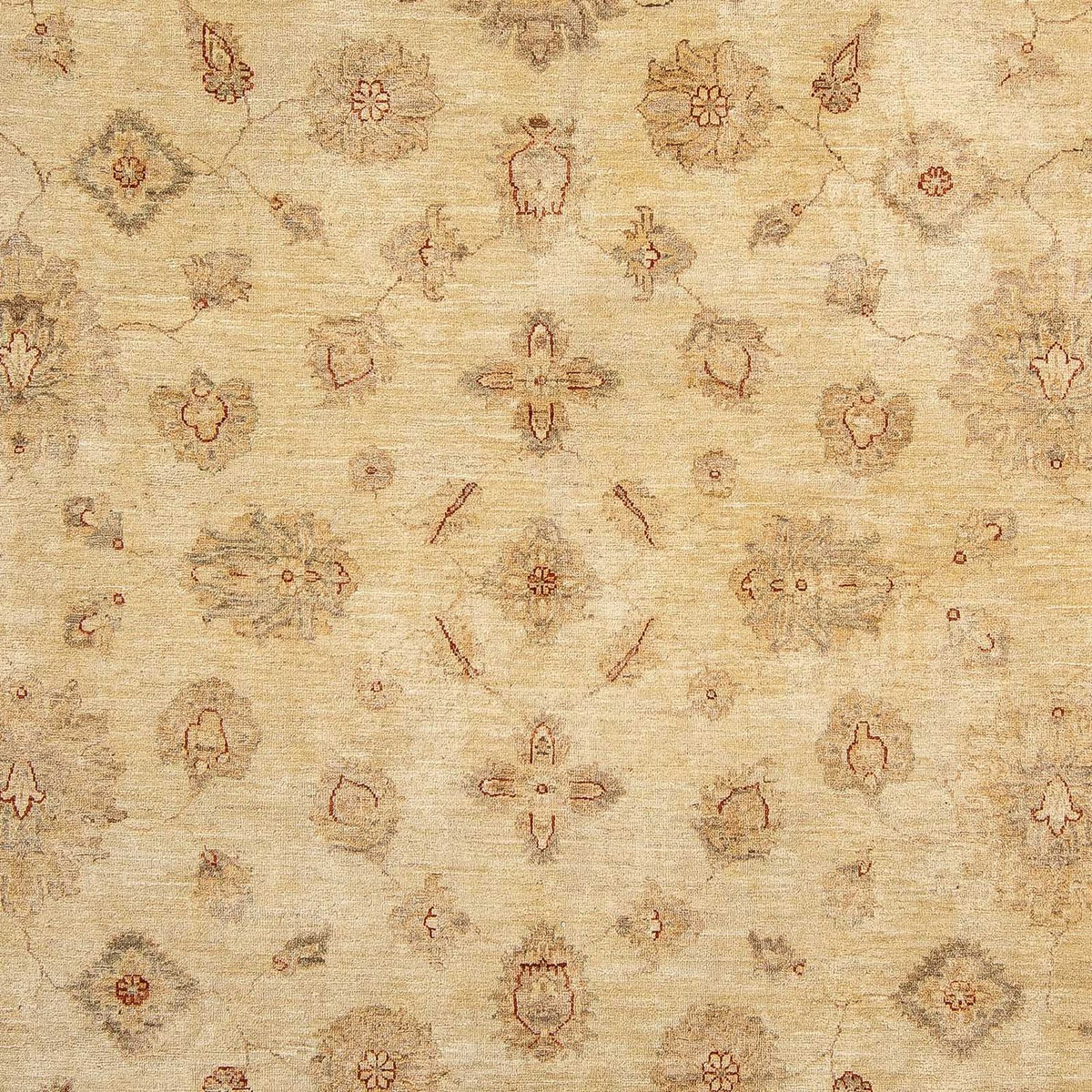 Ziegler Carpet - 303 x 246 cm - lys brun