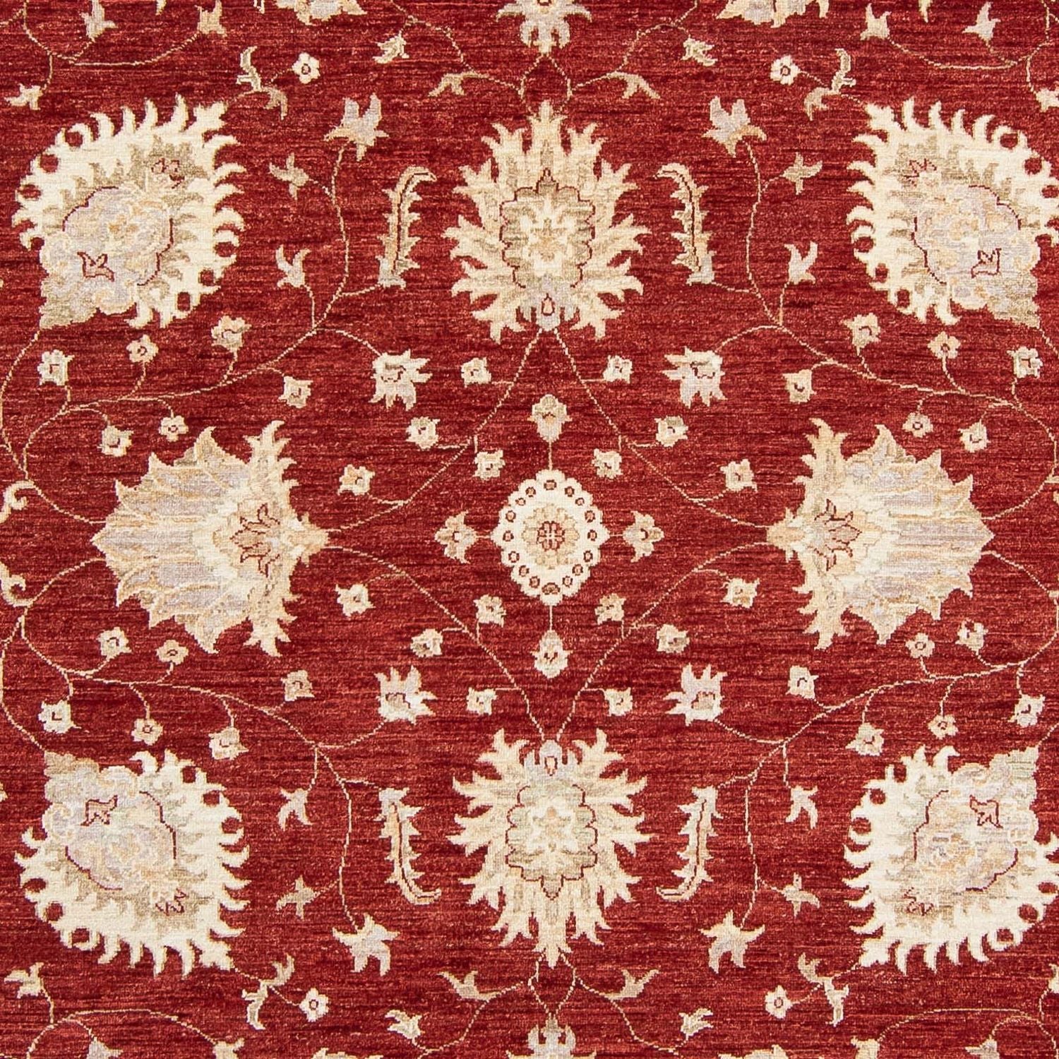 Ziegler Carpet - 298 x 240 cm - mørkerød