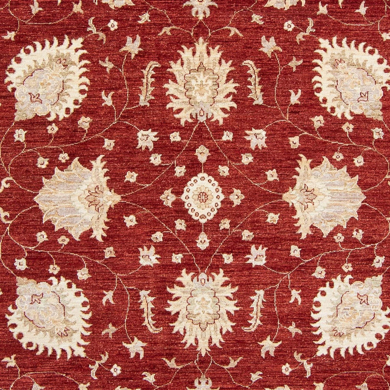 Ziegler Carpet - 298 x 240 cm - mørkerød