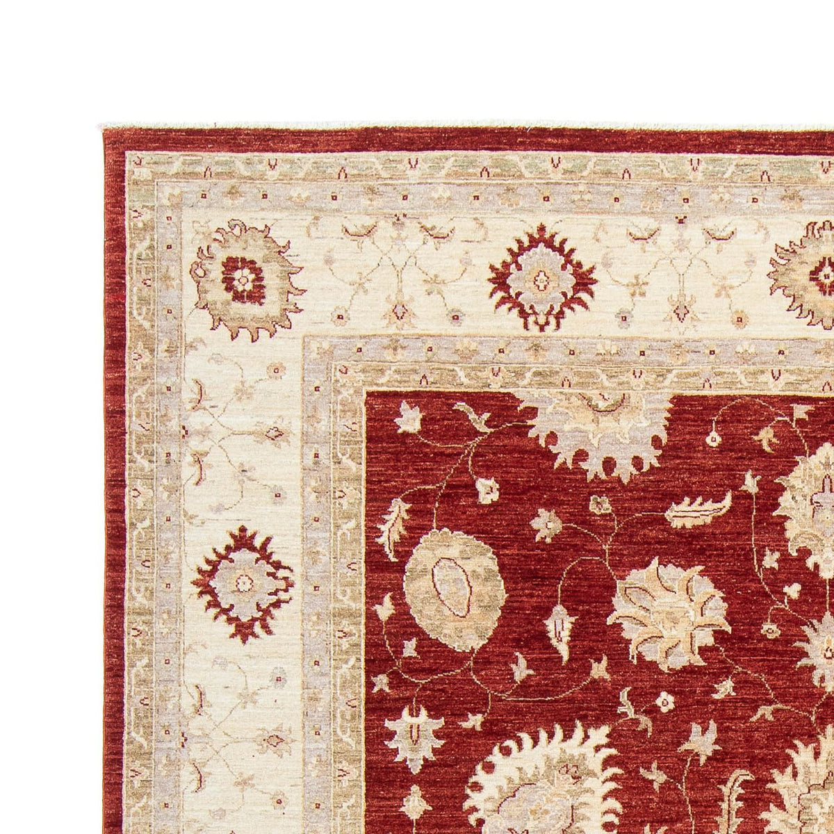 Ziegler Carpet 240x298cm - Orientalsk tæppe
