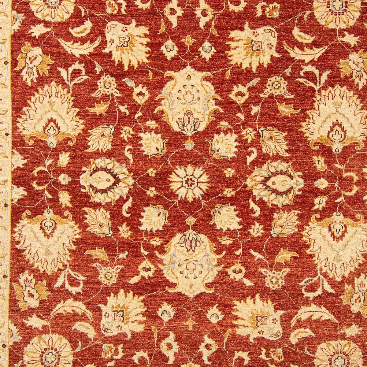 Ziegler Carpet - 350 x 277 cm - rød