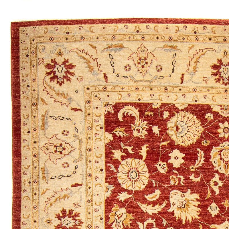 Ziegler Carpet - 350 x 277 cm - rød