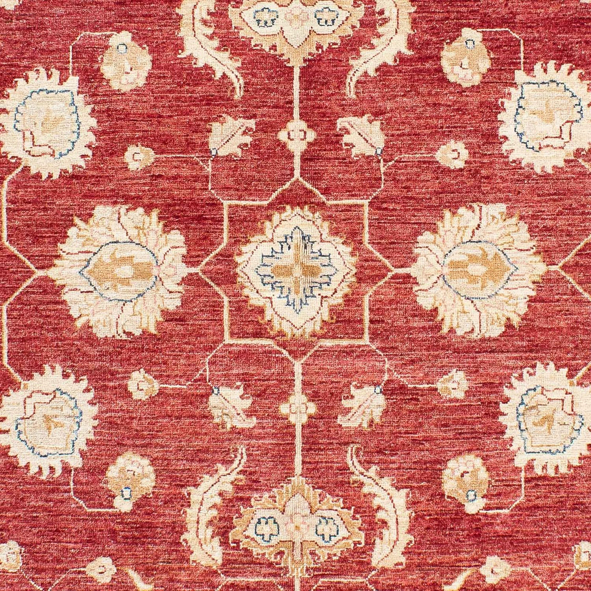 Ziegler Carpet - 237 x 169 cm - mørkerød