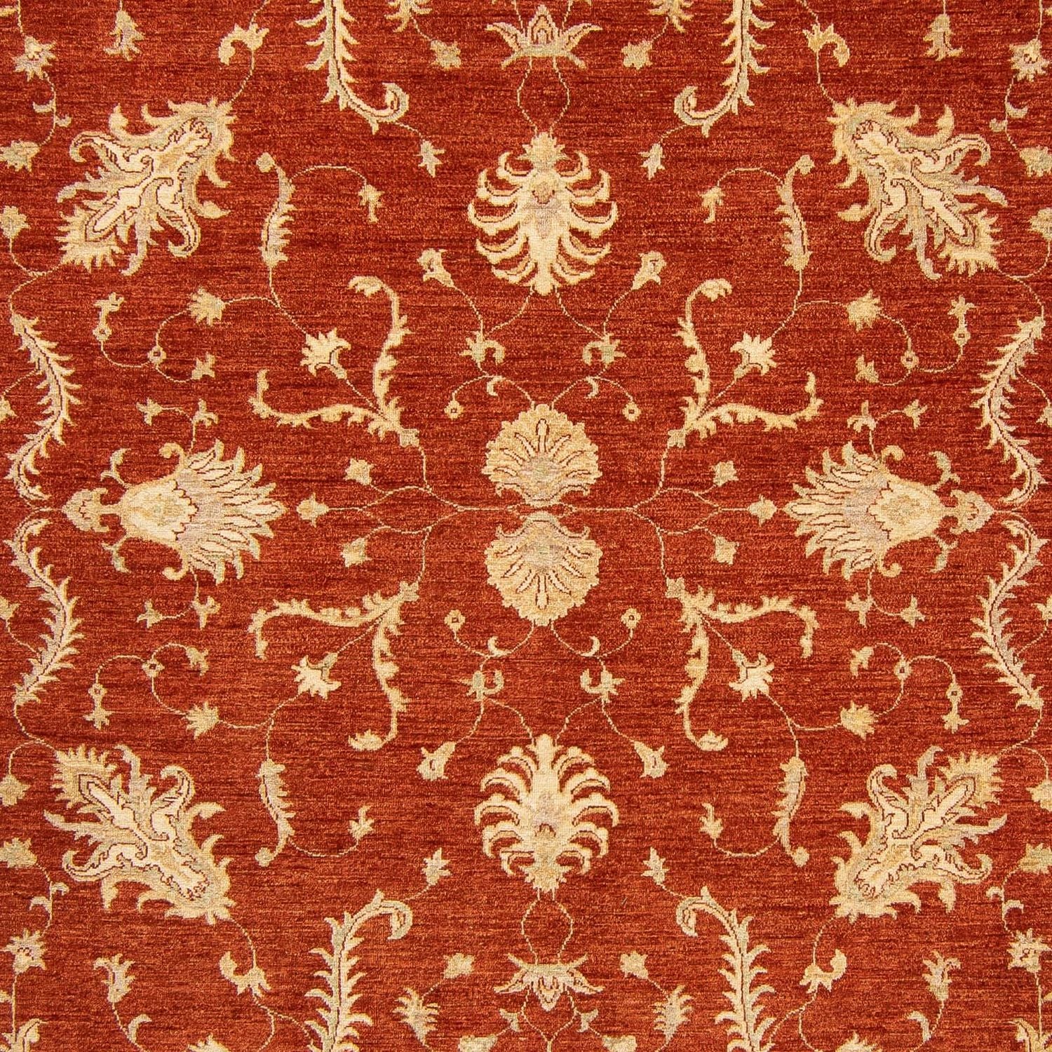 Ziegler Carpet - 350 x 254 cm - mørkerød