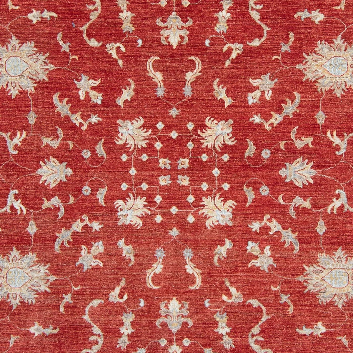 Ziegler Carpet - 292 x 242 cm - rød