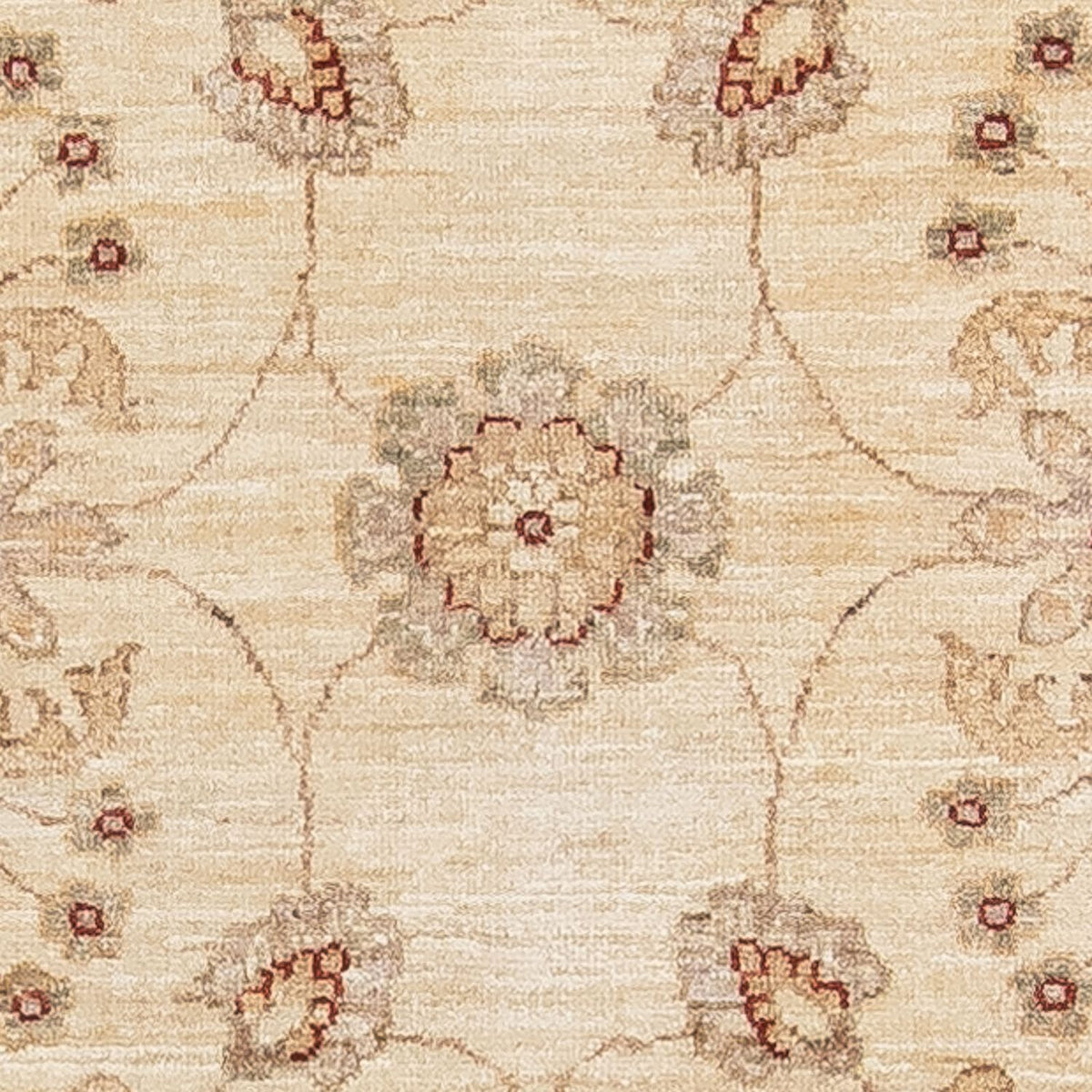 Løber Ziegler Carpet - 295 x 75 cm - beige